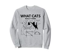 What Cats Really Think Funny Cat Physics Humor Science Stuff Sweatshirt