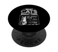 What Cats Really Think Funny Chalkboard Science Design PopSockets Adhesive PopGrip