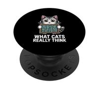 What Cats Really Think Funny Chalkboard Science Design PopSockets Adhesive PopGrip