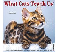 What Cats Teach Us 2020 Wall Calendar