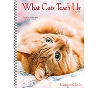 What Cats Teach Us 2022 Engagement Calendar
