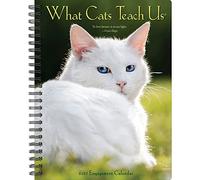 What Cats Teach Us 2023 Engagement Calendar