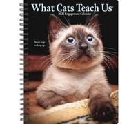 What Cats Teach Us 2025 6.5 X 8.5 Engagement Calendar