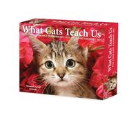What Cats Teach Us 2025 Box