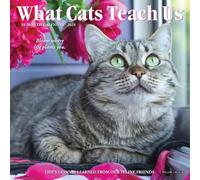 What Cats Teach Us 2025 Mini