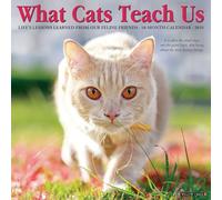 What Cats Teach Us 2025 Wall