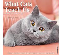 What Cats Teach Us 2026 12 X 12 Wall Calendar