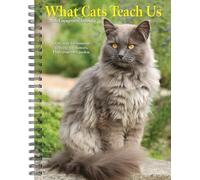 What Cats Teach Us 2026 6.5 X 8.5 Engagement Calendar