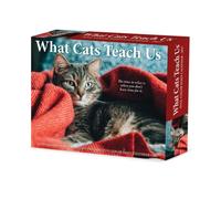 What Cats Teach Us 2027 Box