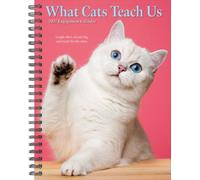 What Cats Teach Us 2027 Engagement