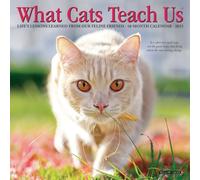 What Cats Teach Us 2027 Mini
