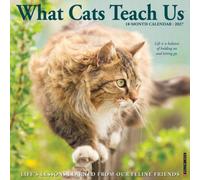 What Cats Teach Us 2027 Wall