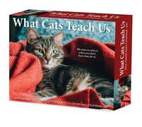 What Cats Teach Us Desk Calendar 2027, Desk Calendars, Day To View, Cats, Gift