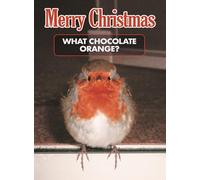 What Chocolate Orange? - Funny Robin Christmas Card