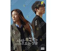 What Comes After Love - Korean TV Series with English Subtitle, All Region