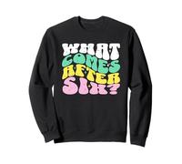 What Comes After Six Seven 67 Meme Sweatshirt