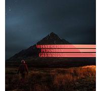 What Could Possibly Go Wrong [VINYL]