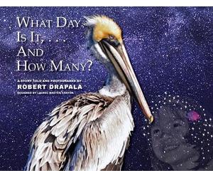 What Day Is It and How Many?