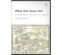 What Did Jesus Do?