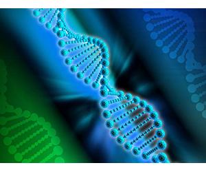 What Do Genes Say about Language Families?