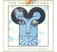 What Does Anything Mean? Basically