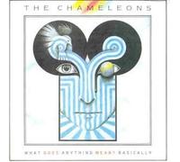 What Does Anything Mean? Basically by Chameleons [Music CD]