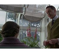 What Does the Bee Do?