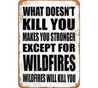 What Doesn't Kill You Makes You Stronger. Except for Wildfires. Wildfires Will Kill You. Kitchen Decor Wall Decorative Bar Tin Metal Sign Poster 6x8 Inch