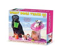 What Dogs Teach Us 2022 Box Calendar, Daily Desktop