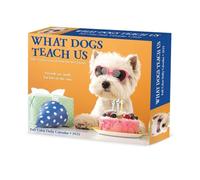 What Dogs Teach Us 2025 Box