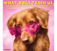 What Dogs Teach Us 2026 12 X 12 Wall Calendar
