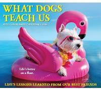 What Dogs Teach Us 2026 5.4 X 6.2 Box Calendar