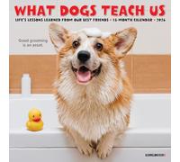 What Dogs Teach Us 2026 7 X 7 Mini Wall Calendar