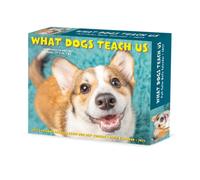 What Dogs Teach Us 2027 Box