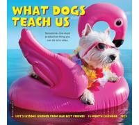 What Dogs Teach Us 2027 Mini