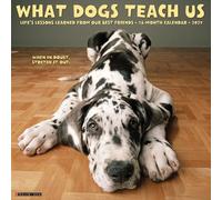 What Dogs Teach Us 2027 Wall
