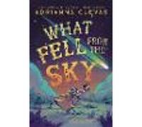 What Fell from the Sky