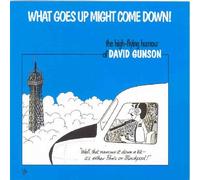 What Goes Up Might Come Down! by David Gunson (2004-08-02)