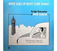 What Goes Up Might Come Down!-LP