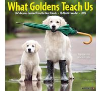 What Goldens Teach Us 2026 12 X 12 Wall Calendar