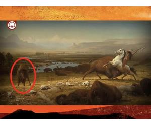 What Happened To All The American Buffalo on The Frontier?