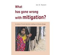What has gone wrong with mitigation?: A review of the recent decision-making on climate change
