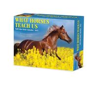What Horses Teach Us 2025 Box