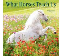 What Horses Teach Us 2025 Mini