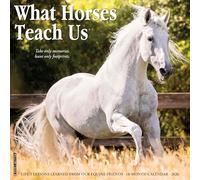 What Horses Teach Us 2026 12 X 12 Wall Calendar