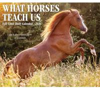 What Horses Teach Us 2026 Box Calendar
