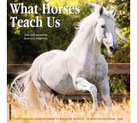 What Horses Teach Us 2026 Wall Calendar