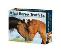 What Horses Teach Us 2027 Box