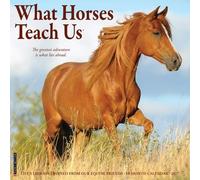 What Horses Teach Us 2027 Wall