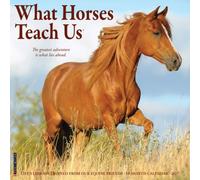 What Horses Teach Us 2027 Wall